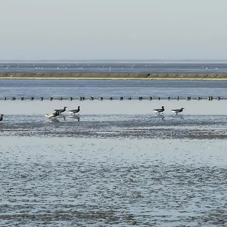 Neu Wellenrauschen Westerholt (Lower-Saxony)
